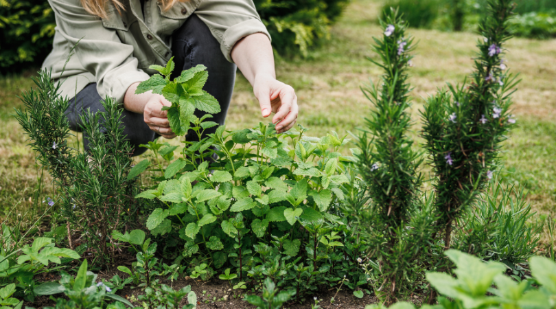Rituals That Honor the Earth