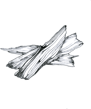 Hydrating Face + Body Bundle