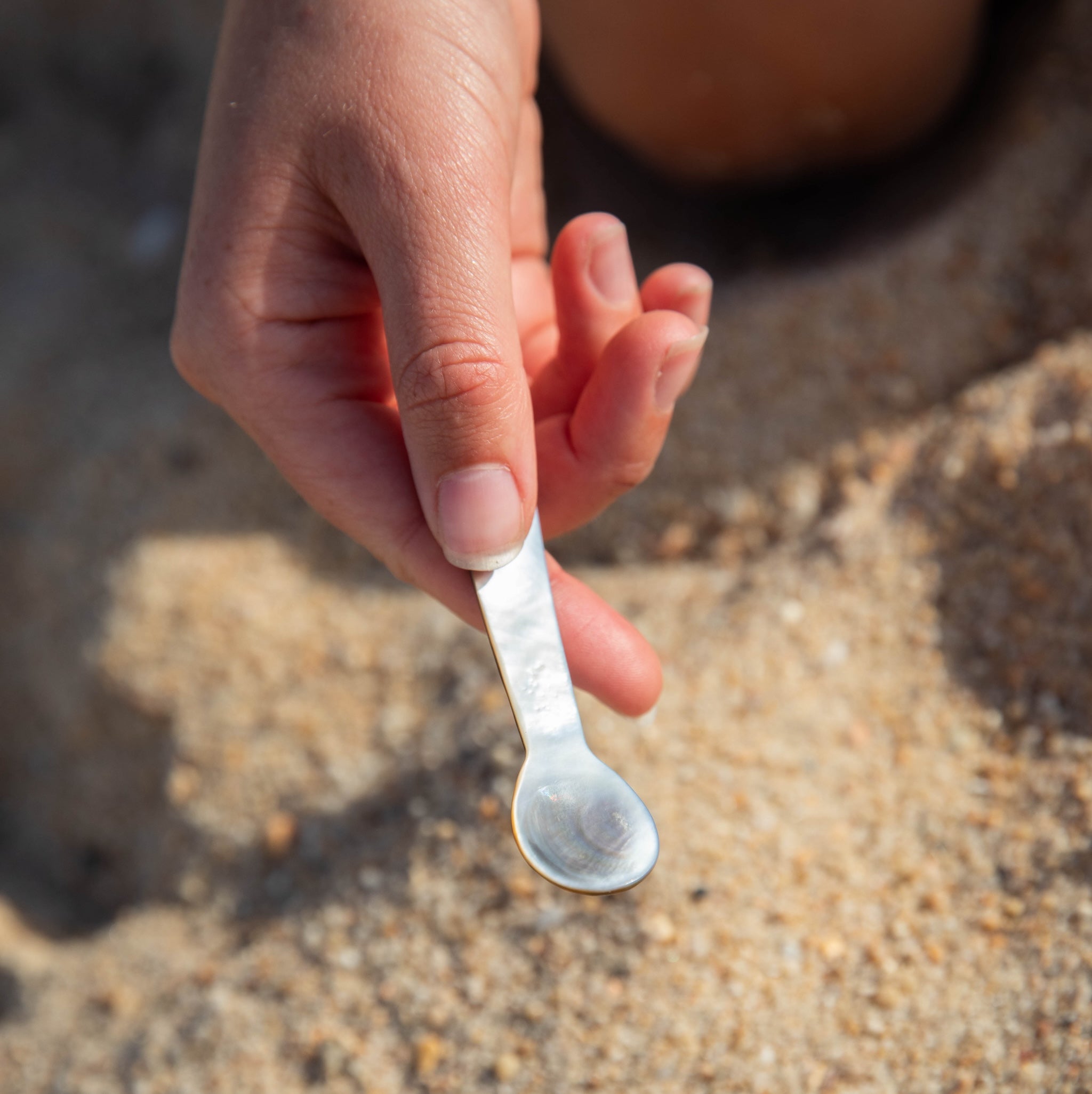 Earthy Spoons Shell Spoons - Earth Tu Face