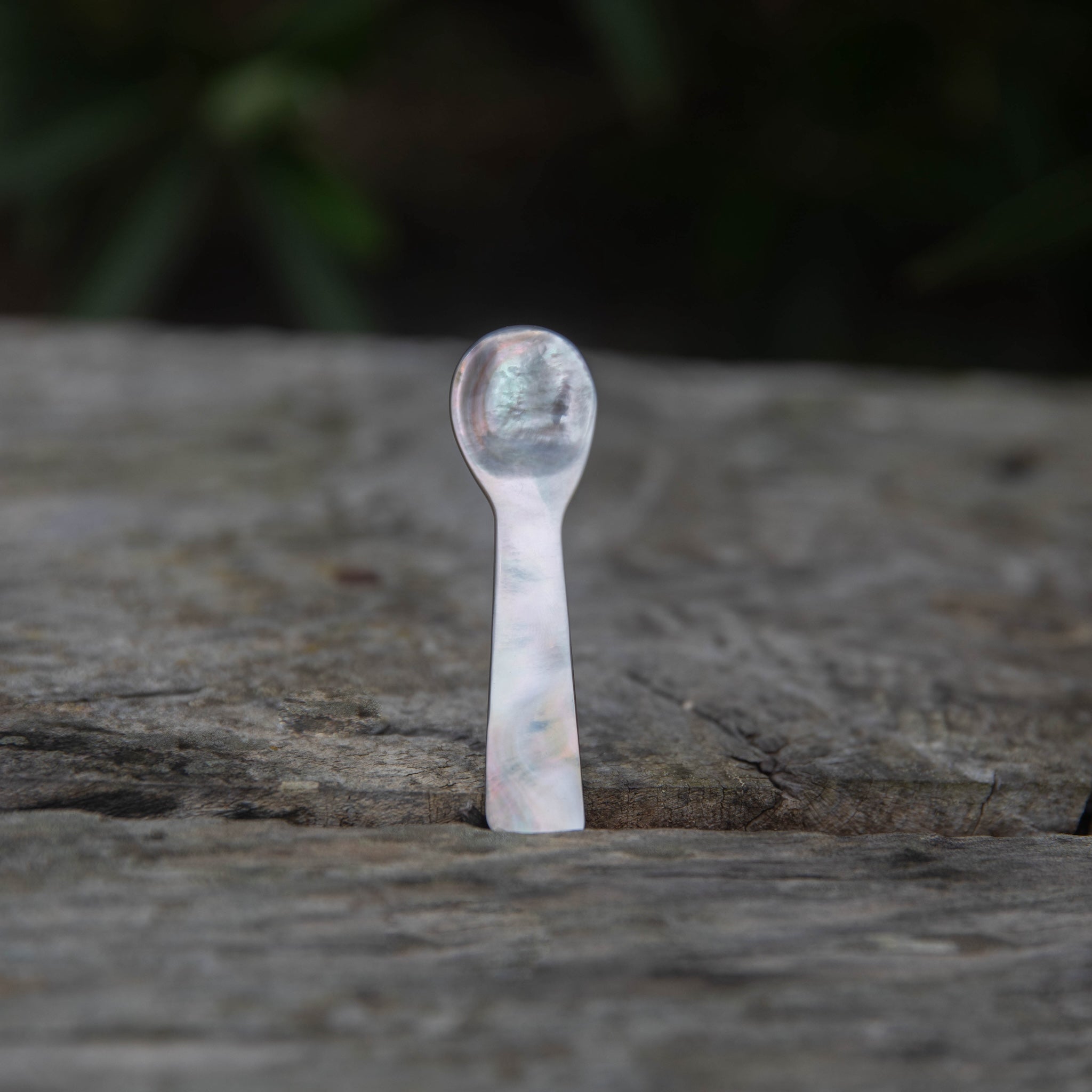 Earthy Spoons Shell Spoons - Earth Tu Face